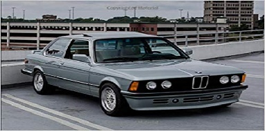 bmw-e21 variant